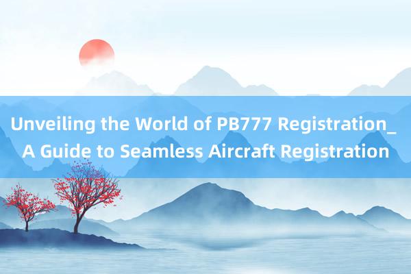 Unveiling the World of PB777 Registration_ A Guide to Seamless Aircraft Registration