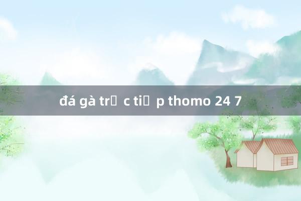 đá gà trực tiếp thomo 24 7