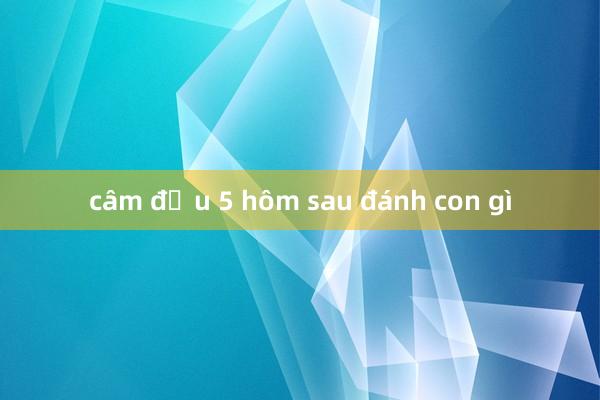 câm đầu 5 hôm sau đánh con gì