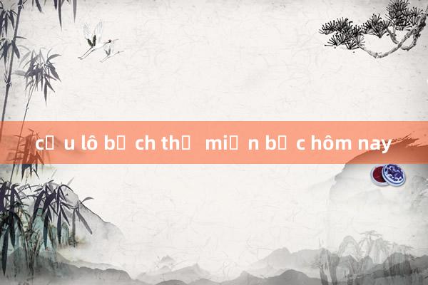 cầu lô bạch thủ miền bắc hôm nay