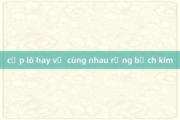 cặp lô hay về cùng nhau rồng bạch kim