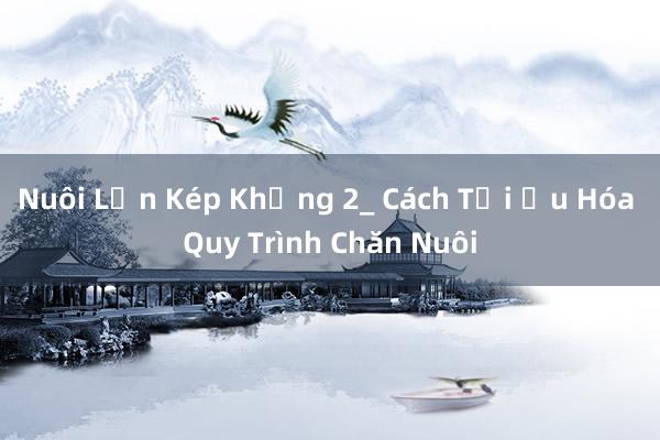 Nuôi Lợn Kép Khủng 2_ Cách Tối Ưu Hóa Quy Trình Chăn Nuôi