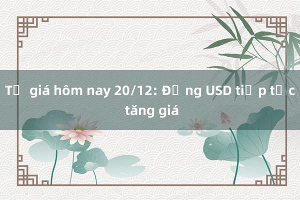 Tỷ giá hôm nay 20/12: Đồng USD tiếp tục tăng giá