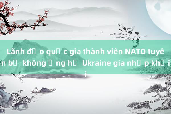 Lãnh đạo quốc gia thành viên NATO tuyên bố không ủng hộ Ukraine gia nhập khối