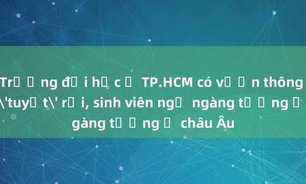 Trường đại học ở TP.HCM có vườn thông Noel và 'tuyết' rơi， sinh viên ngỡ ngàng tưởng ở châu Âu