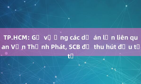 TP.HCM: Gỡ vướng các dự án lớn liên quan Vạn Thịnh Phát， SCB để thu hút đầu tư