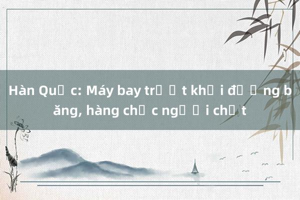 Hàn Quốc: Máy bay trượt khỏi đường băng， hàng chục người chết